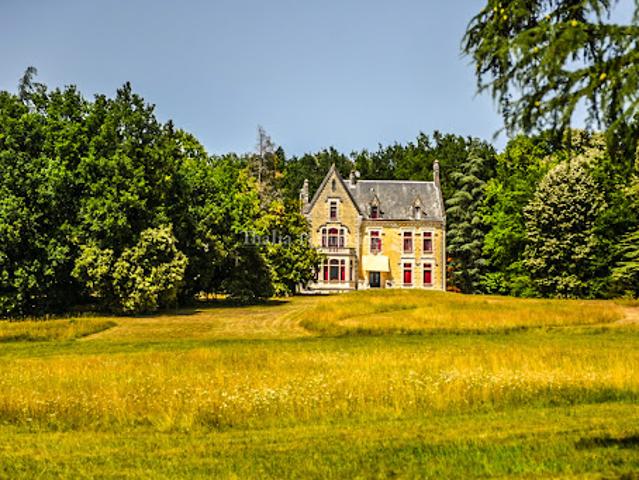 Vente Château 15 pièces 729 m2 Mussidan