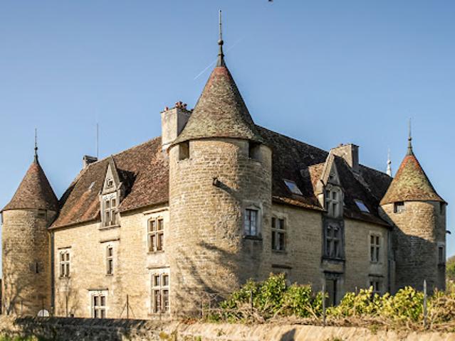 Vente Château 15 pièces 800 m2 Domblans