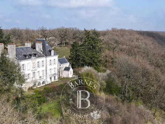 Vente Château 15 pièces 0 m2 Saint Gaultier
