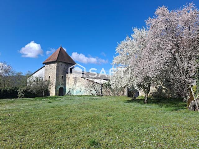 Vente Château 15 pièces 150 m2 Yenne