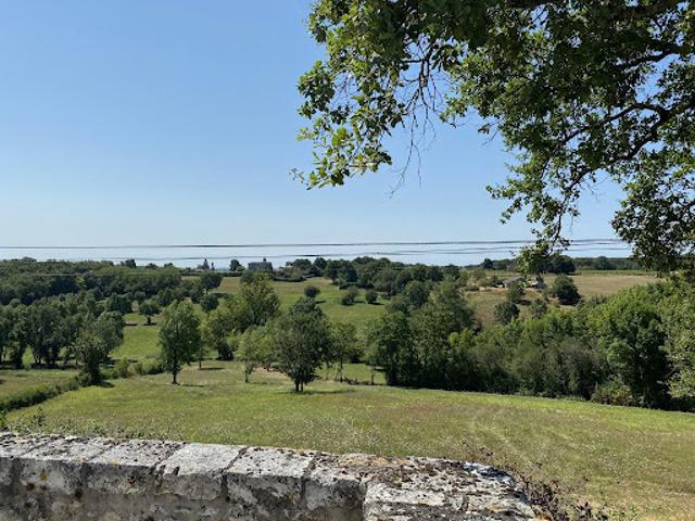 Vente Château 16 pièces 560 m2 Montcaret