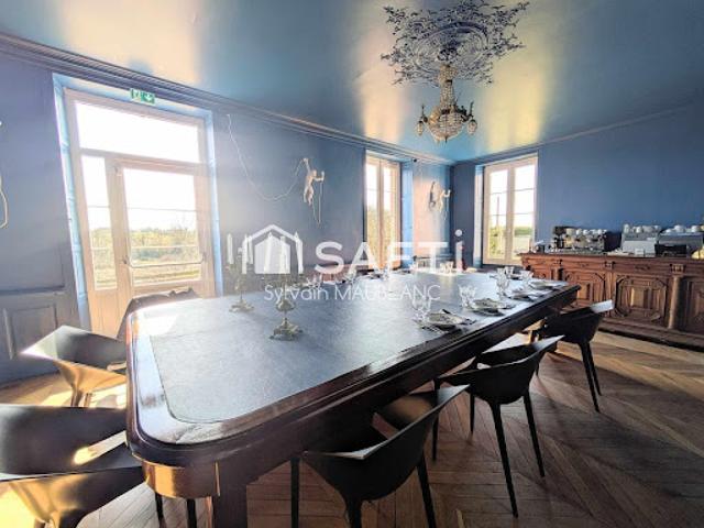 Vente Château 17 pièces 498 m2 Lavau