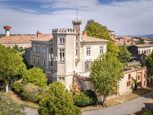 Vente Château 17 pièces 730 m2 Caraman