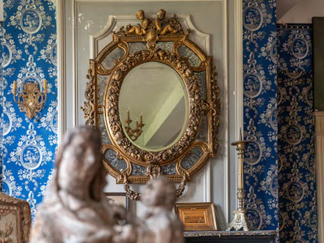 Vente Château 18 pièces 520 m2 Saint Gervais en Vallière