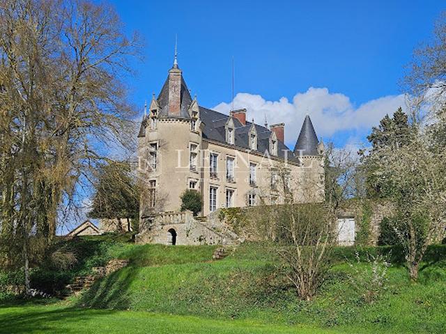 Vente Château 19 pièces 446 m2 Fresnay sur Sarthe