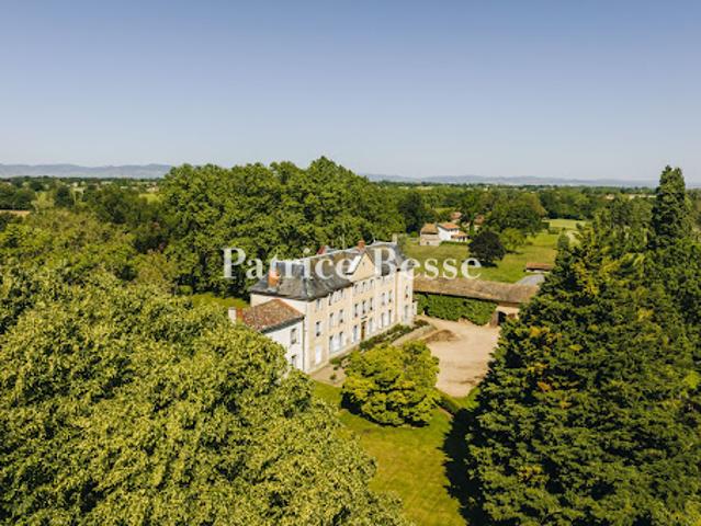 Vente Château 19 pièces 592 m2 Biziat