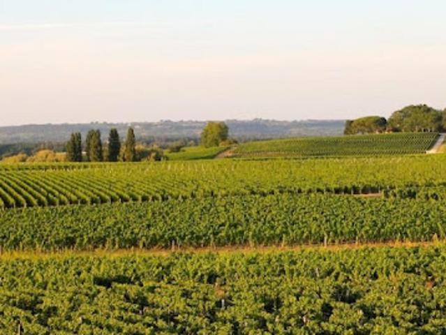 Vente Château 19 pièces 600 m2 Langon