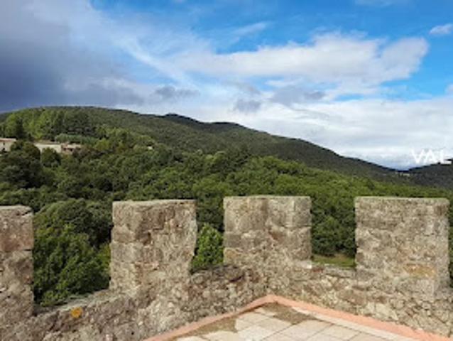 Vente Château 10 pièces 232 m2 Soudorgues
