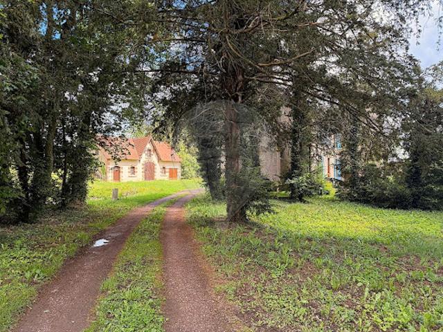 Vente Château 10 pièces 352 m2 Ygrande