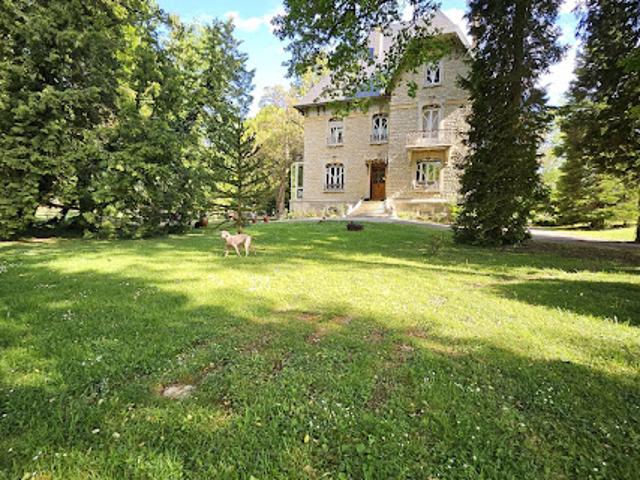 Vente Château 11 pièces 352 m2 Autigny le Grand