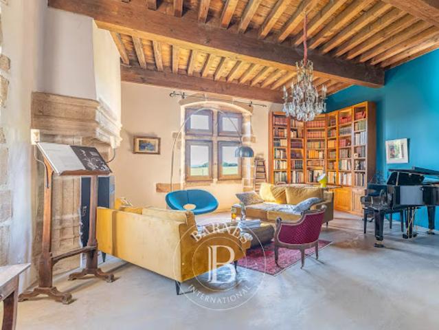 Vente Château 12 pièces 500 m2 Crémieu