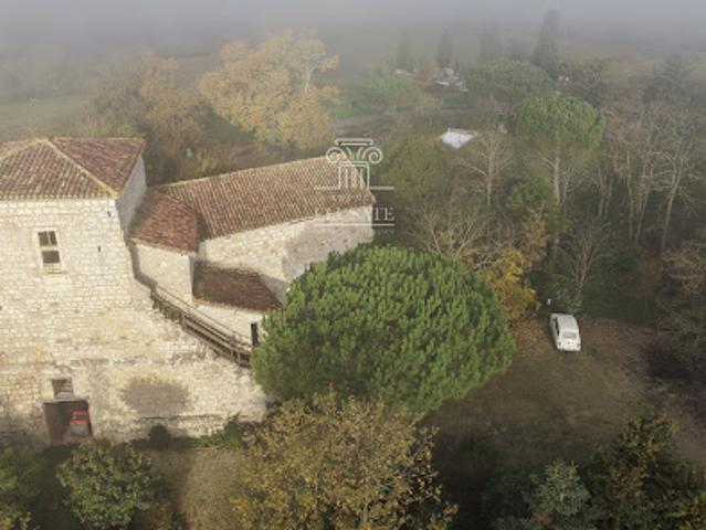Vente Château 12 pièces 523 m2 Condom