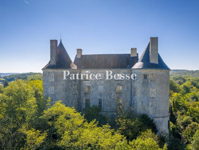 Vente Château 16 pièces 1010 m2 Agen