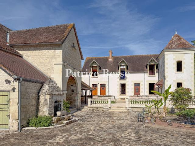 Vente Château 12 pièces 271 m2 La Roche Posay