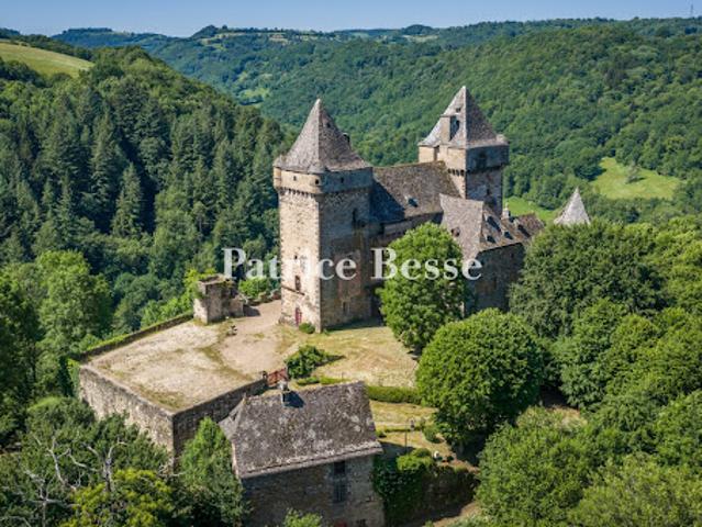 Vente Château 13 pièces 1070 m2 Vic sur Cère