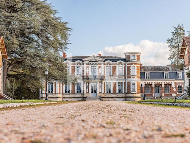 Vente Château 25 pièces 1125 m2 Salbris