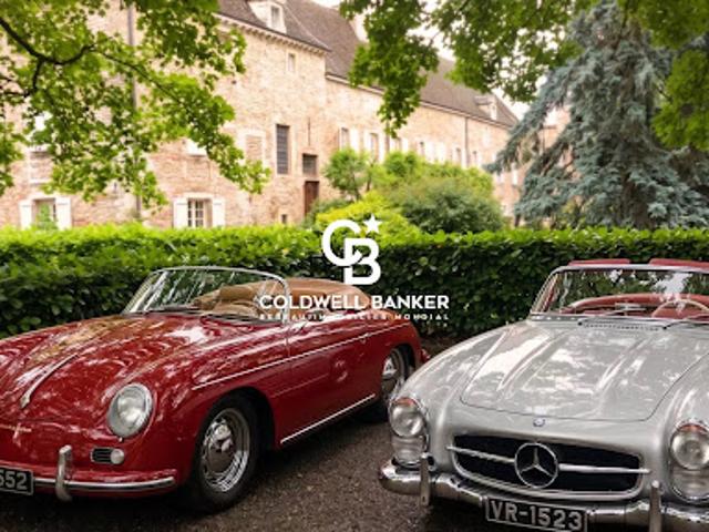 Vente Château 26 pièces 903.62 m2 Fleurville