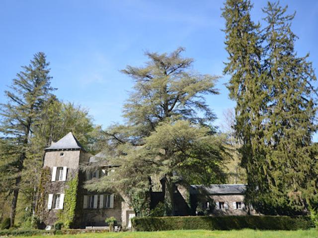 Vente Château 26 pièces 941 m2 Le Bez