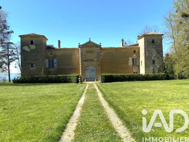 Vente Château 20 pièces