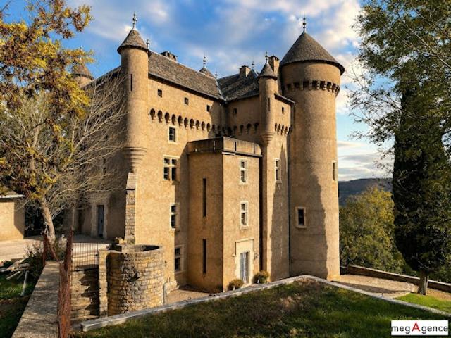 Vente Château 20 pièces 585 m2 Rivière sur Tarn