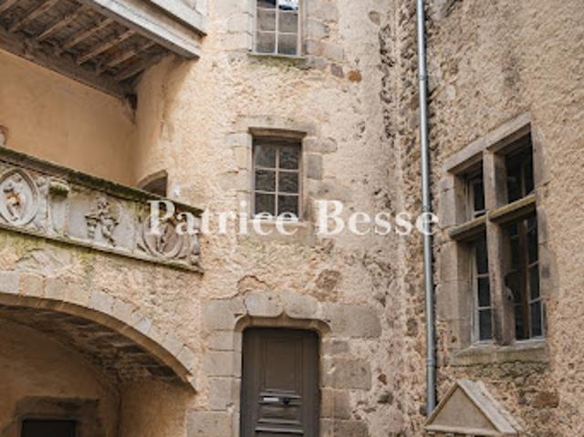 Vente Château 20 pièces 760 m2 Chalmazel Jeansagnière