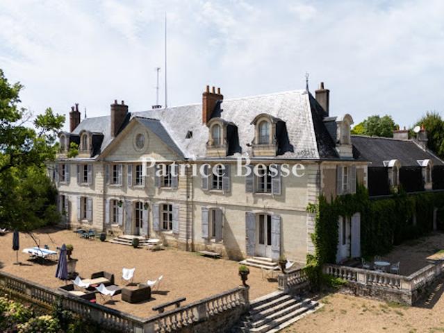 Vente Château 20 pièces 936 m2 Tours