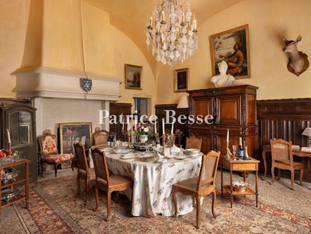 Vente Château 20 pièces 963 m2 Valence