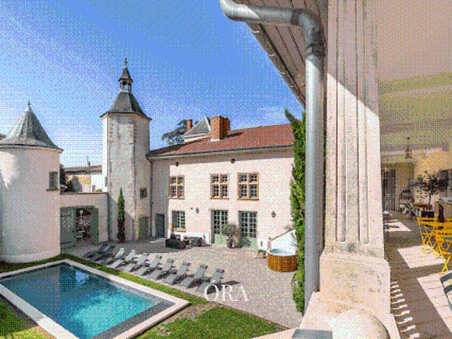 Vente Château 20 pièces 1058 m2 Genay