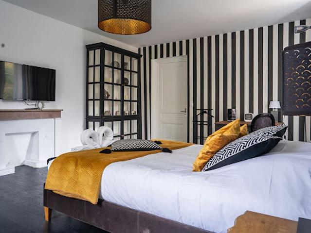 Vente Château 20 pièces 1200 m2 Saint Etienne de Saint Geoirs