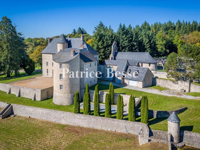 Vente Château 20 pièces 1500 m2 Ussel