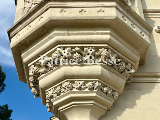 Vente Château 20 pièces 1545 m2 Angers