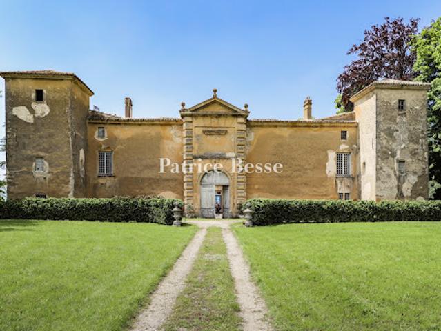 Vente Château 20 pièces 1680 m2 Chateaudouble