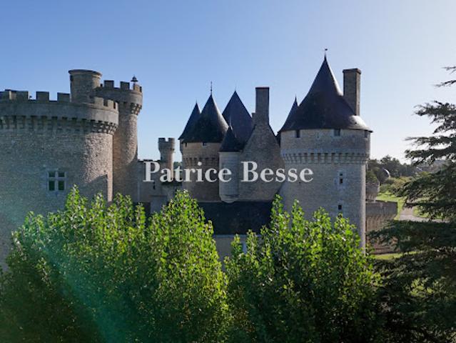 Vente Château 20 pièces 3700 m2 Chateauroux
