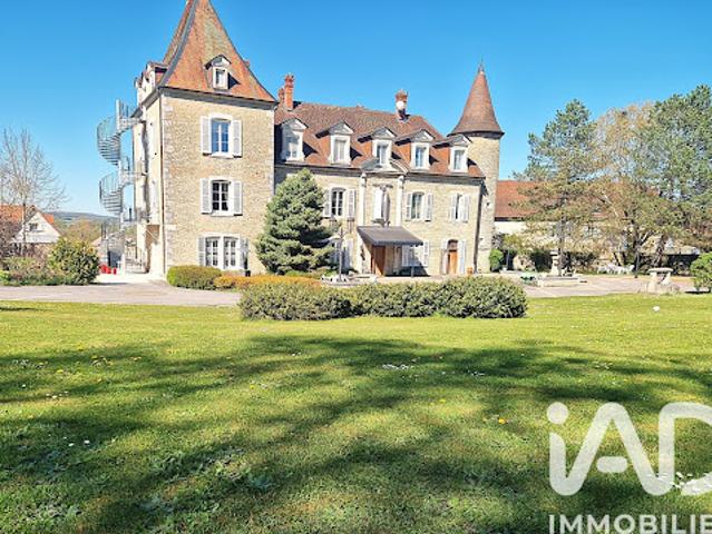 Vente Château 21 pièces 677 m2 Pagney