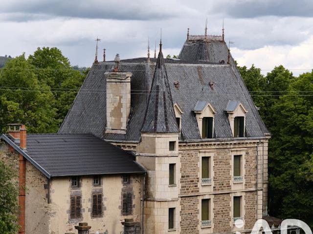 Vente Château 22 pièces 580 m2 Ardes