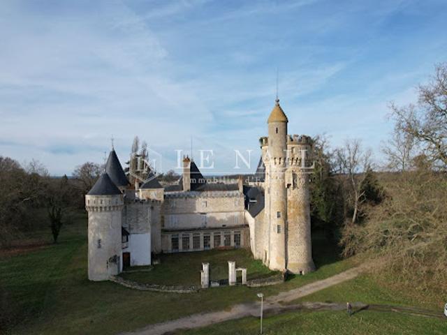Vente Château 23 pièces 870 m2 Sancoins