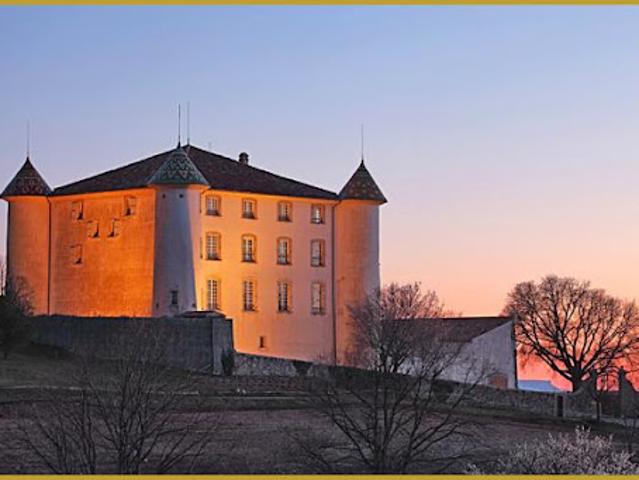 Vente Château 35 pièces 1039 m2 Moustiers Sainte Marie