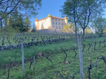 Château à vendre à Moustiers-Sainte-Marie - Cave