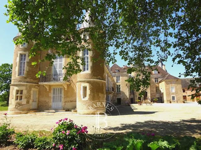 Vente Château 35 pièces 1500 m2 Avallon