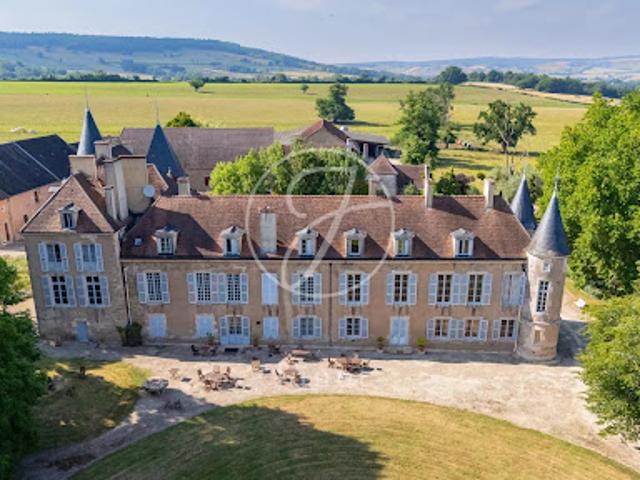 Vente Château 35 pièces 1500 m2 Avallon