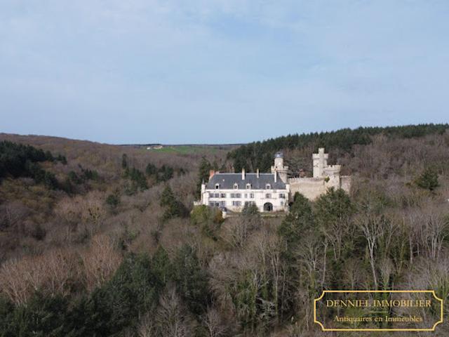 Vente Château 35 pièces 3000 m2 Veauce