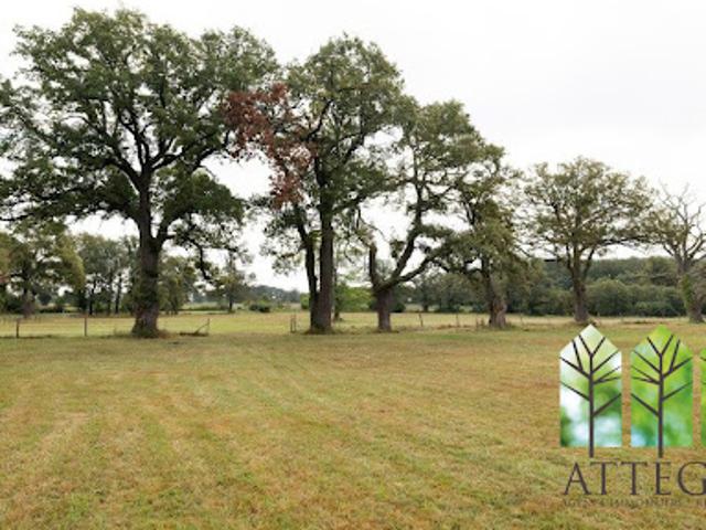 Vente Château 36 pièces 1150 m2 Montluçon