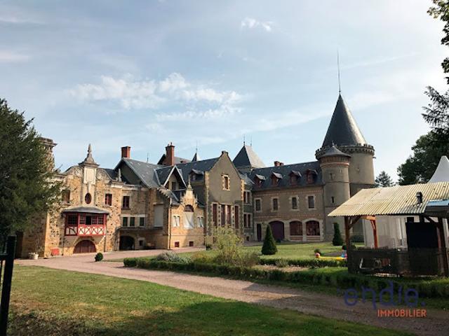 Vente Château 36 pièces 3800 m2 Lurcy Lévis