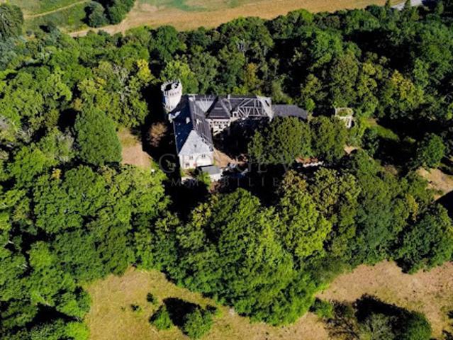 Vente Château 30 pièces 1163 m2 Ham sous Varsberg