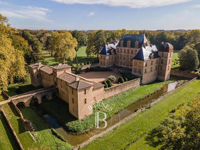 Vente Château 30 pièces 1200 m2 Fareins
