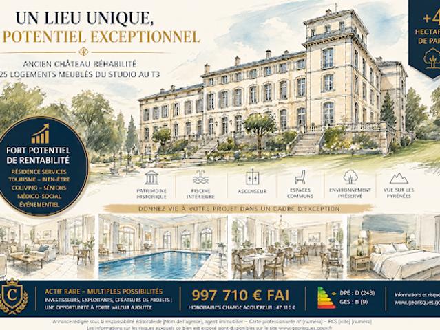Vente Château 32 pièces 1400 m2 Saint leon