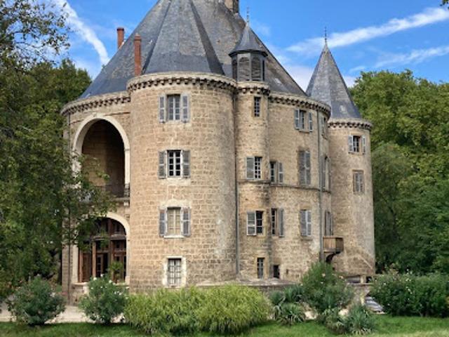 Vente Château 40 pièces 3000 m2 Valence