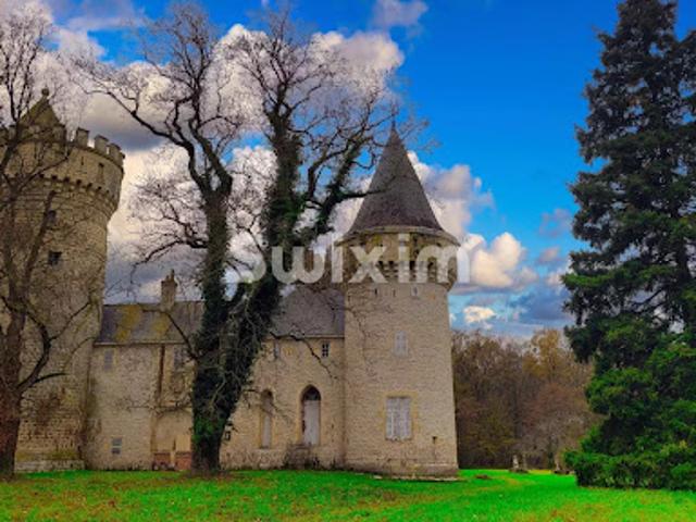 Vente Château 40 pièces 300 m2 Nevers