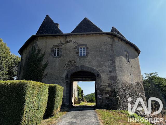 Vente Château 5 pièces 401 m2 Orgnac sur Vézère