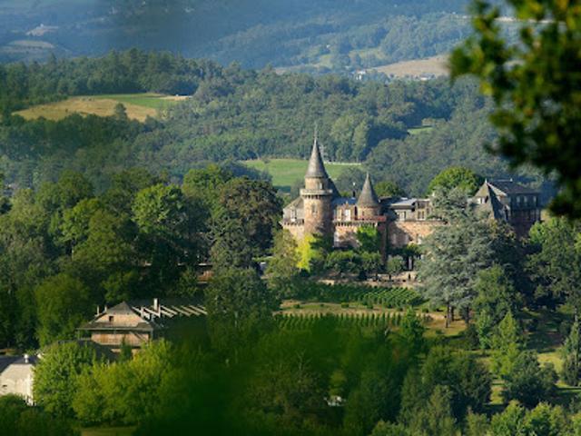 Vente Château 60 pièces 0 m2 Varetz